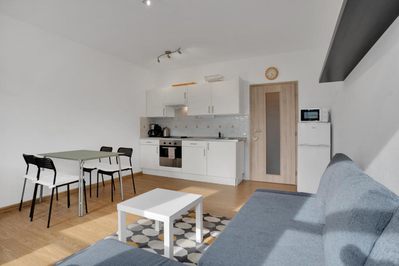 Horsky Apartman Klinovec 4 Loučná pod Klínovcem Εξωτερικό φωτογραφία